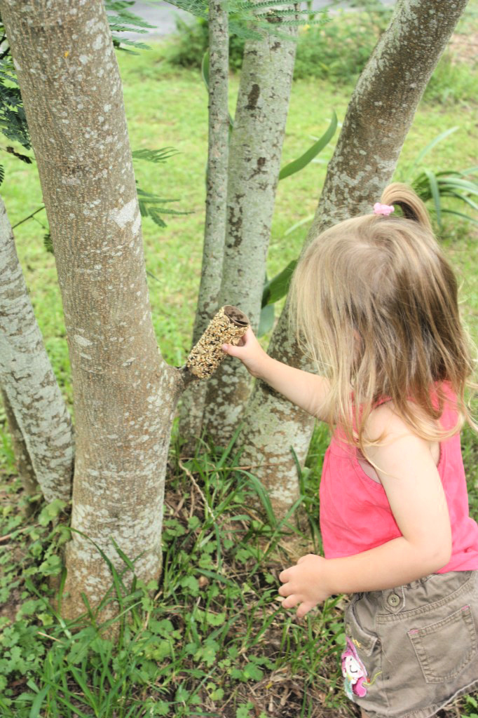 little girl placing bird feeder