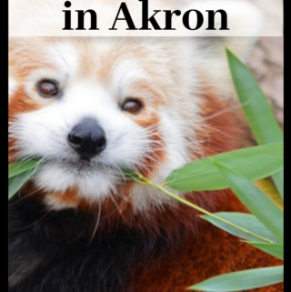 things to do in Akron