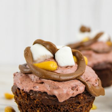 Weight Watchers Cupcakes