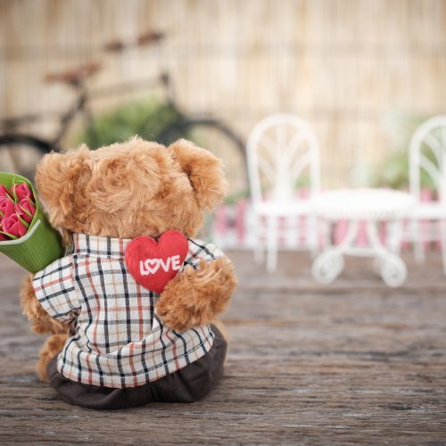 bear with a heart pillow and flowers