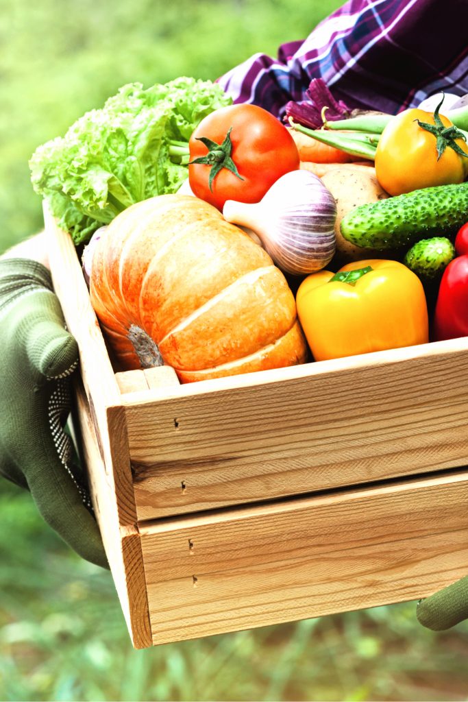 Eating Local and Seasonal Year Round With Old Fashioned Food Preservation Methods