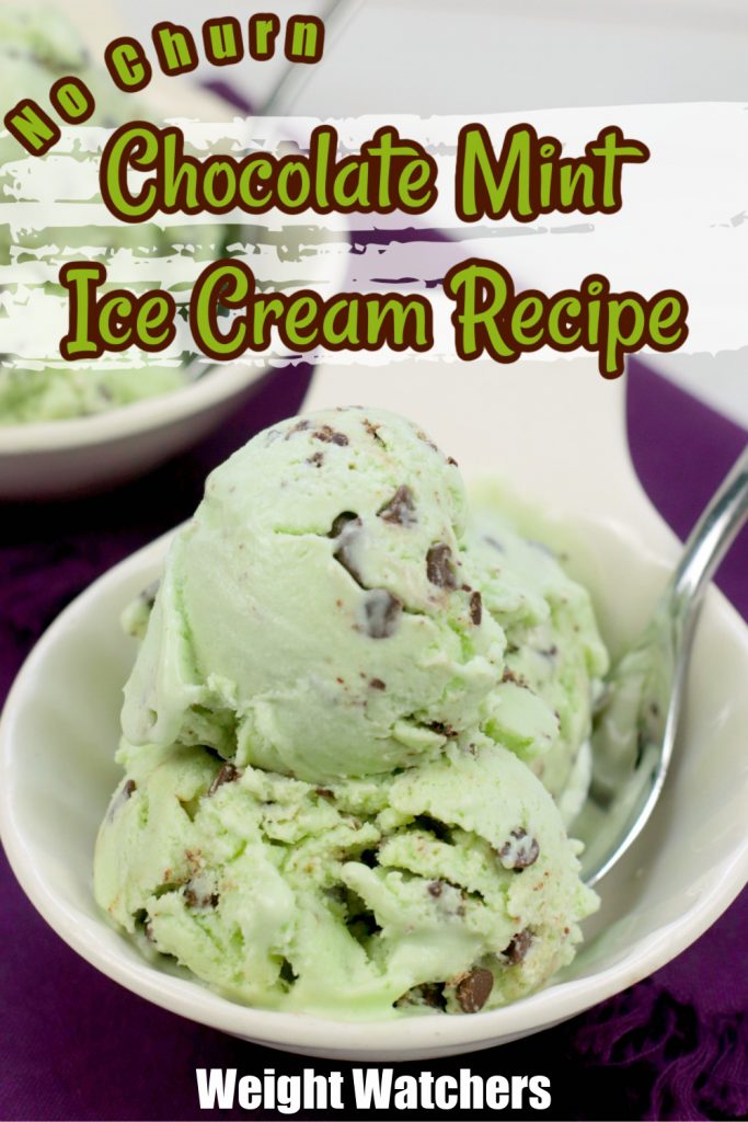 Easy WW No Churn Chocolate Mint Ice Cream Recipe