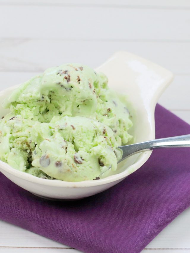 WW NO CHURN CHOCOLATE MINT ICE CREAM