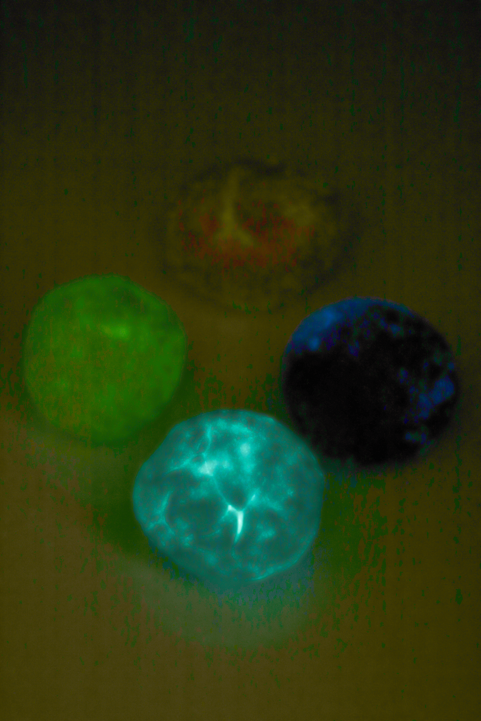 Close up of the glow in the dark balls.