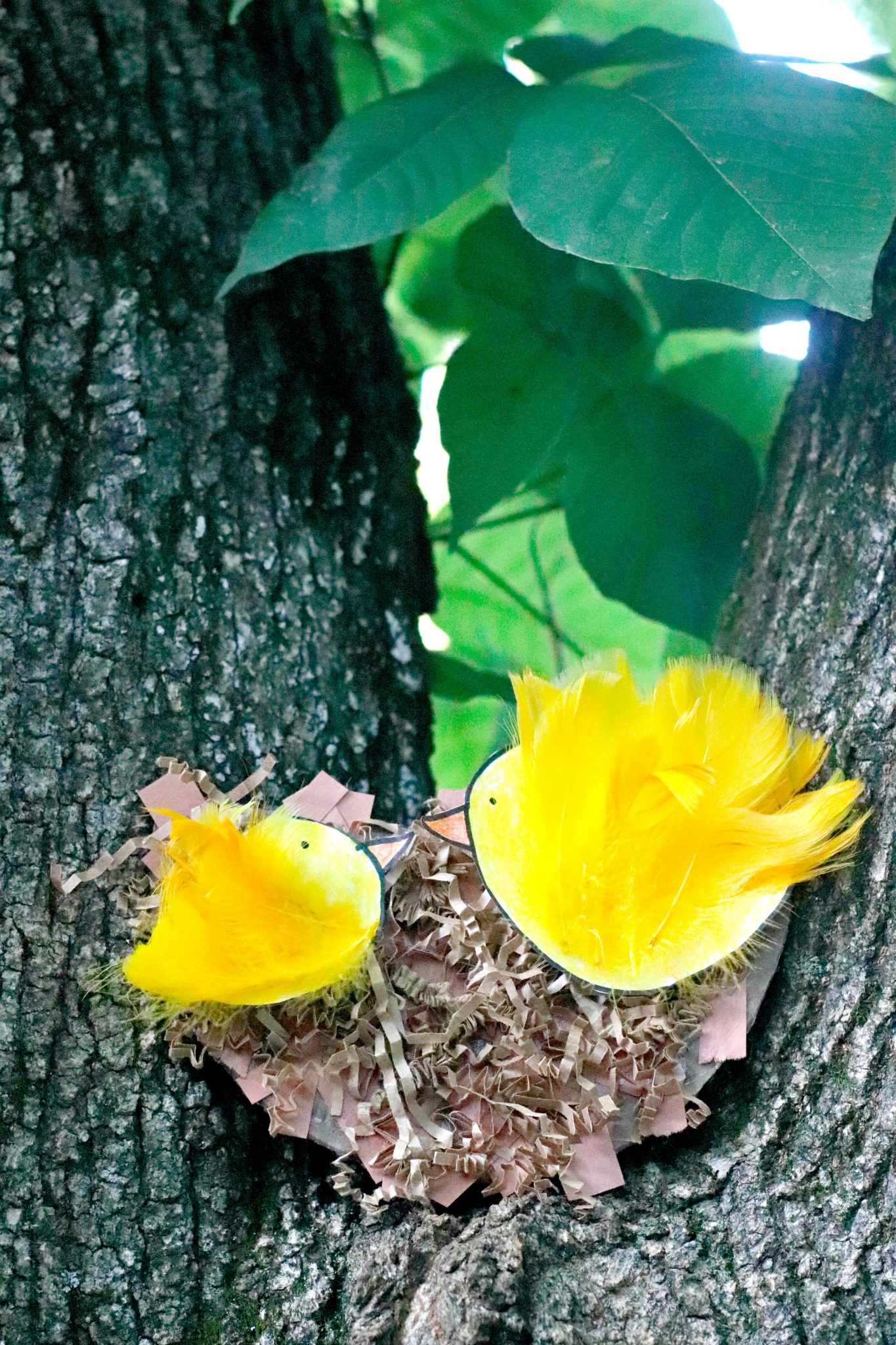 Mama and Baby Bird Nest Craft Our WabiSabi Life