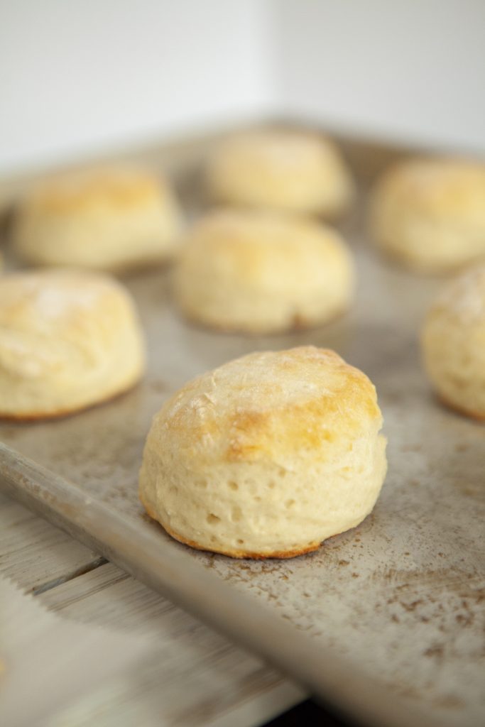 2 ingredient dough rolls on a pan