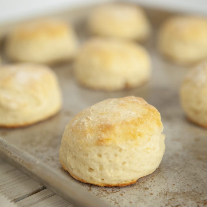 biscuits on a pan
