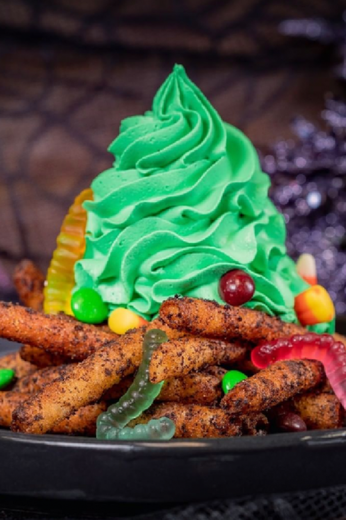 The funnel cake fries at Disney.