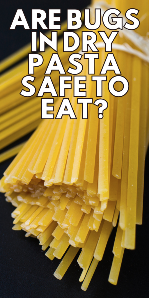 Unwanted Guests: Are Bugs in Dry Pasta Safe to Eat? - Our WabiSabi Life