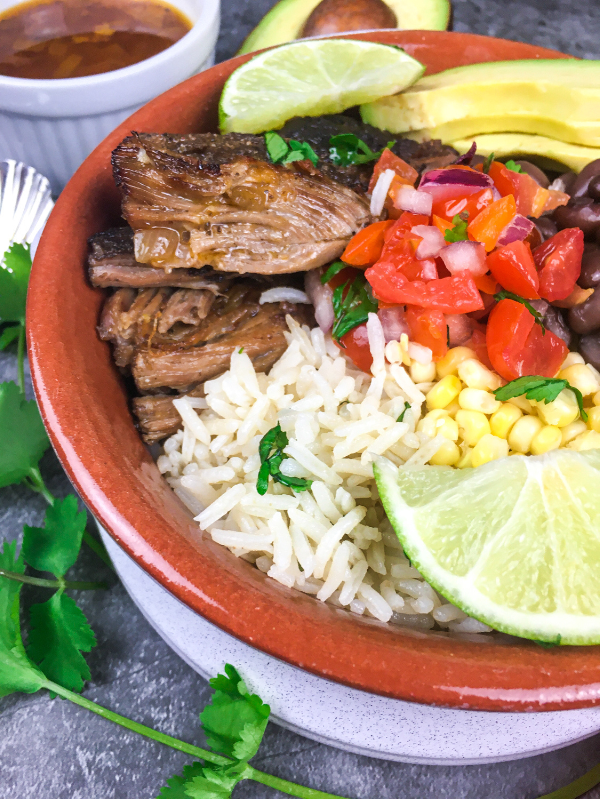 chipotle copycat carnitas in a reddish bowl with avocado and onions