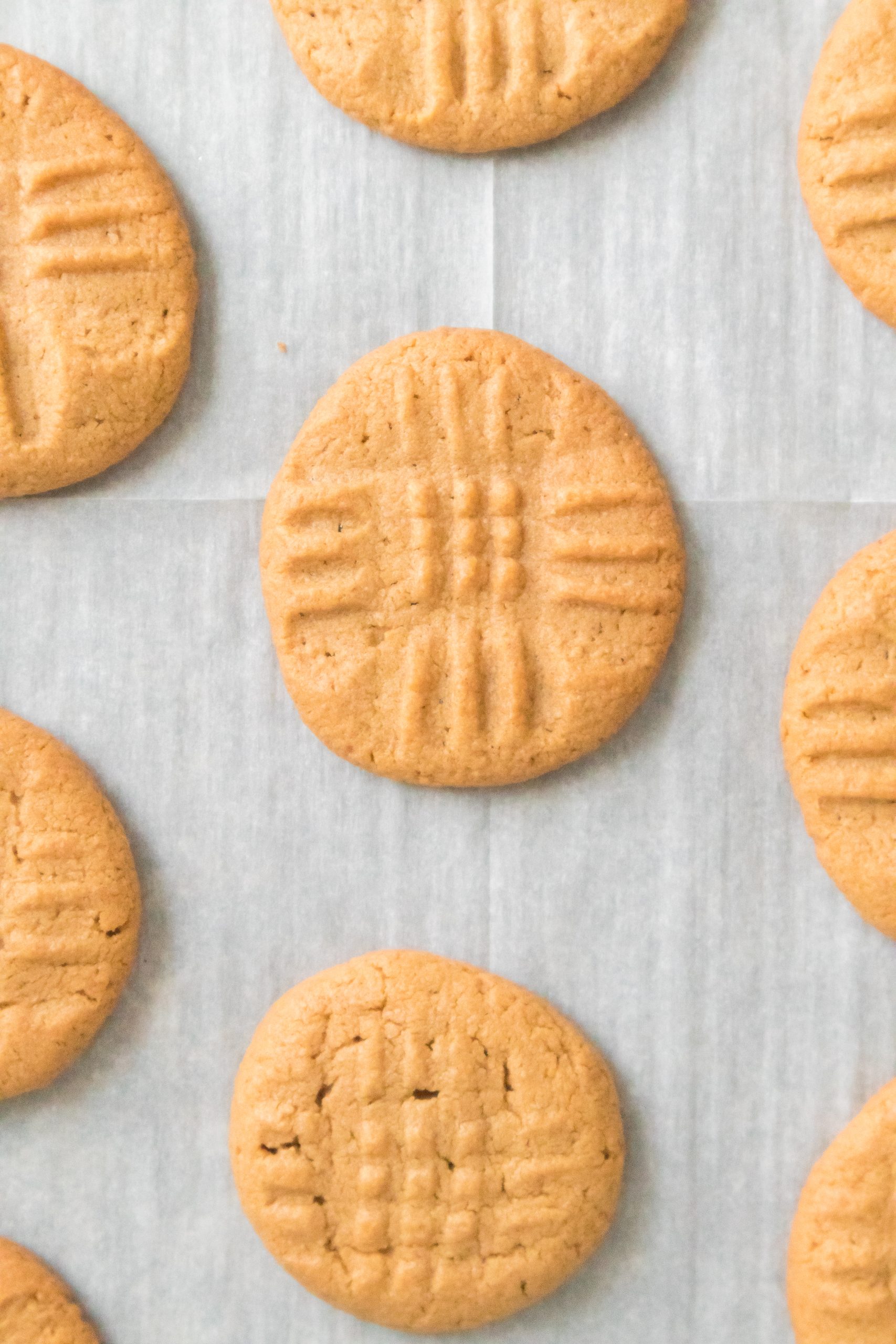 peanut butter cookies on a cookie sheet