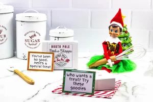 elf on the shelf with printable elf notes