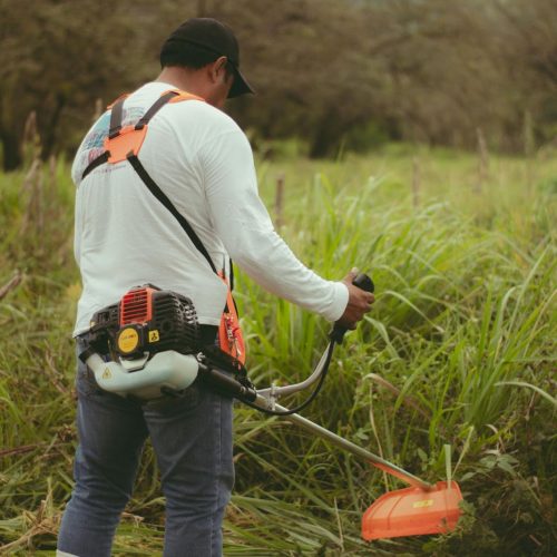 man using gardening tools