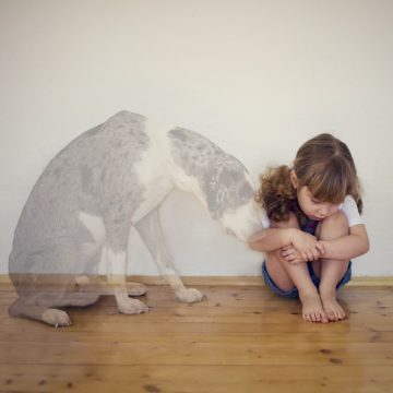 ghost dog and sad girl