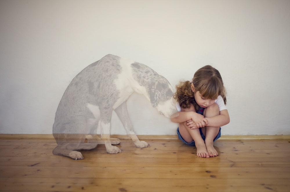 ghost dog and sad girl