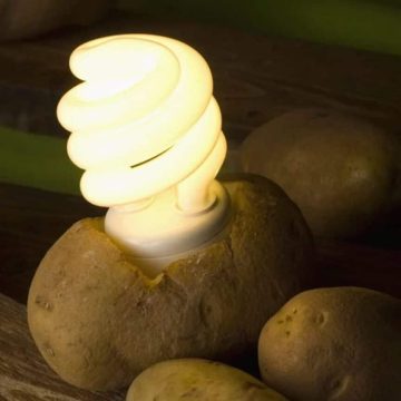 potato with light bulb