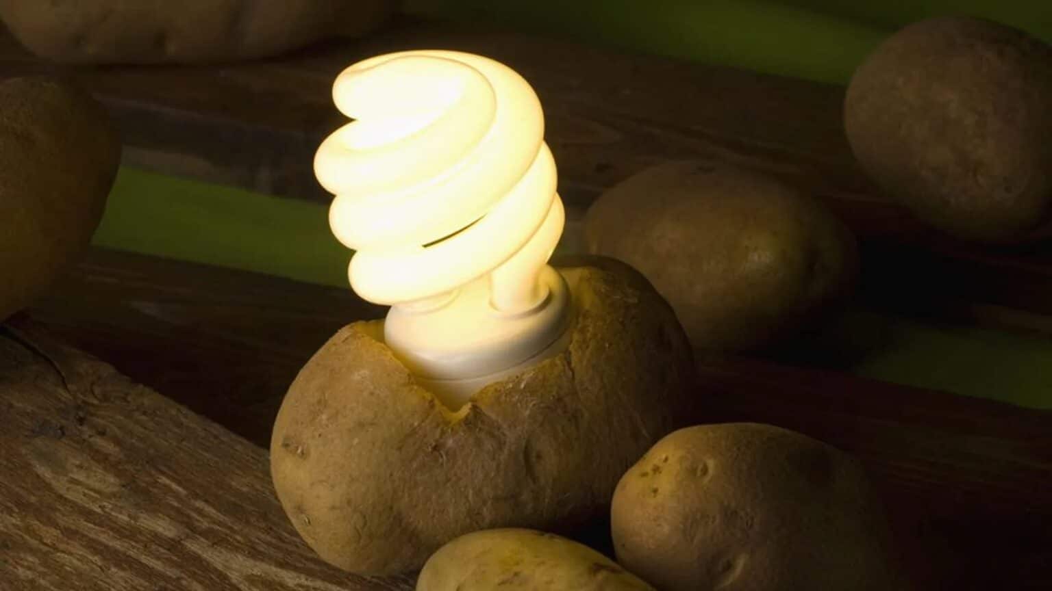 potato with light bulb