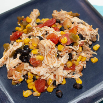 salsa chicken