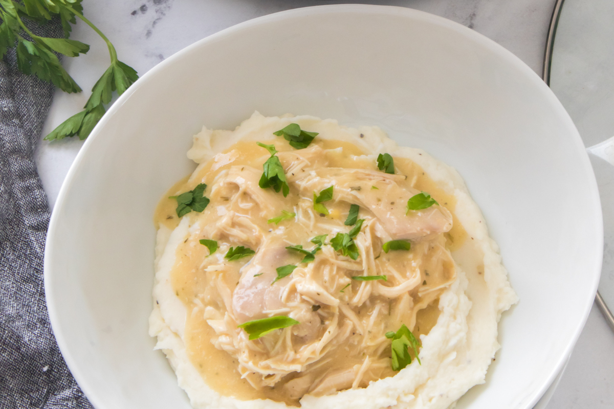 Slow Cooker Chicken and Gravy