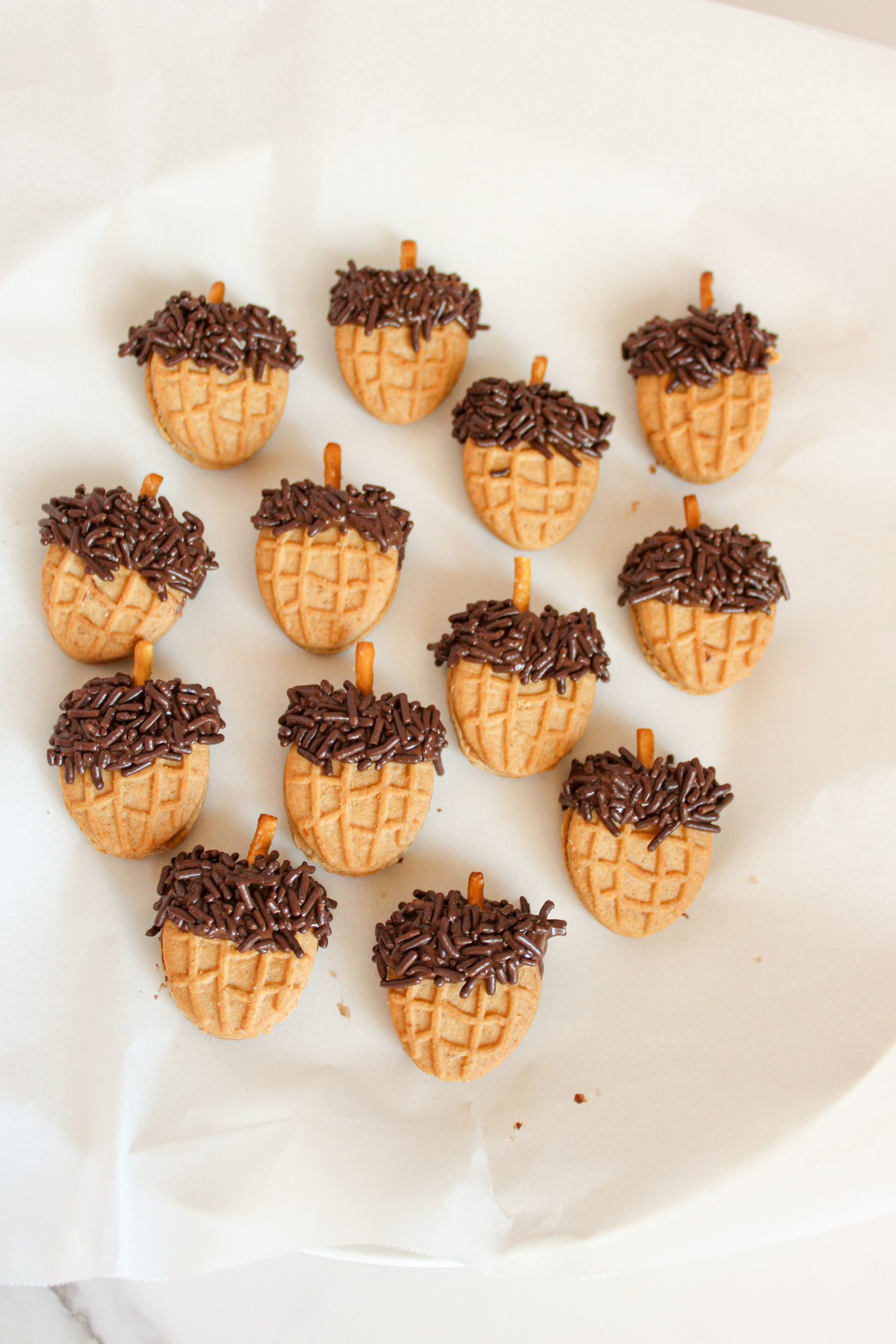 acorn cookies together