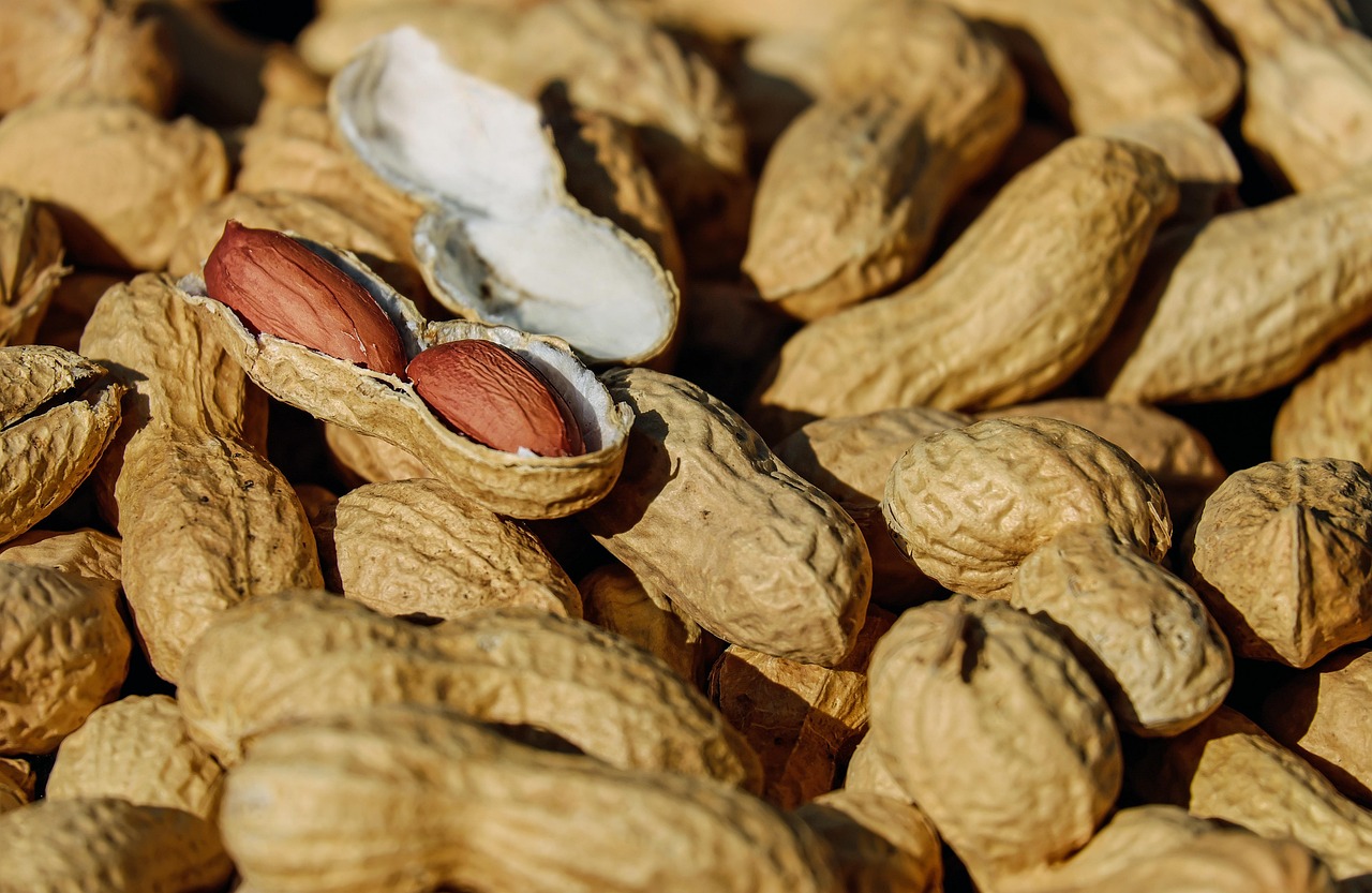 Peanuts (Image Credits: Pixabay)