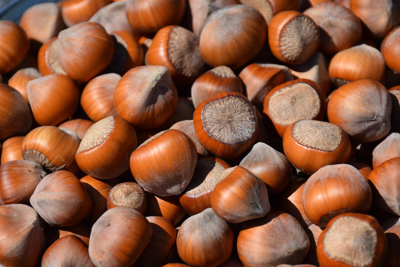 Hazelnuts (Image Credits: Pixabay)