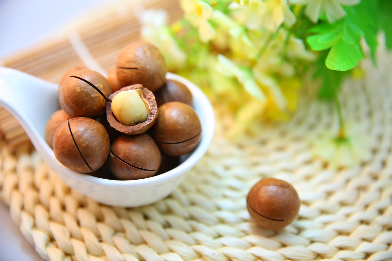 Macadamia Nuts (Image Credits: Pixabay)