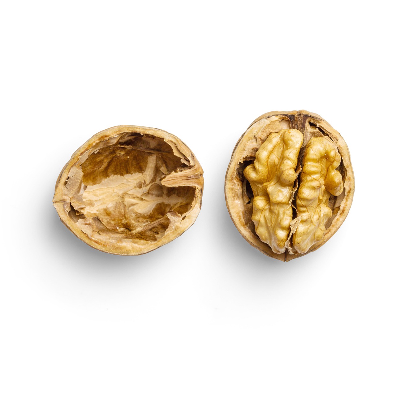 Walnuts (Image Credits: Pixabay)
