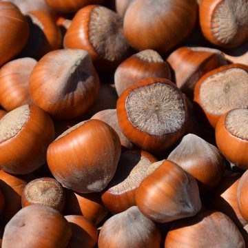 The Healthiest Nuts – Ranked from Least to Most Nutritious