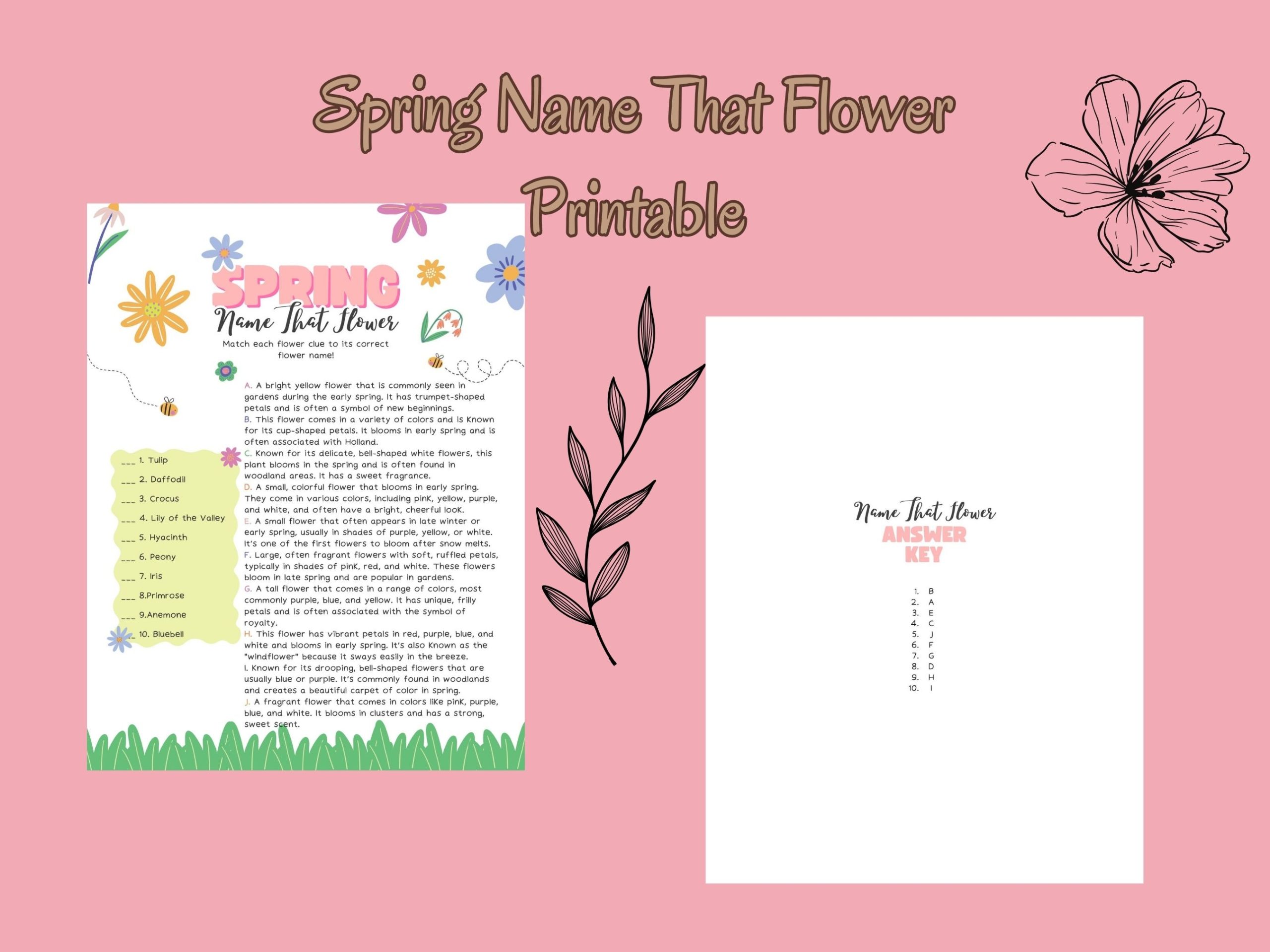 Free Spring Name That Flower Printable