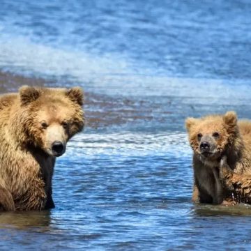 Americans Are Steering Clear of These 10 National Parks - Here's Why