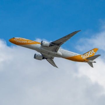 I Booked Flights at the "Wrong Time" and Here's Exactly What It Cost Me