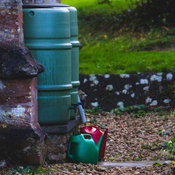 water can, water storage, bin, can, red, green, storage, container, water bin, gardening
