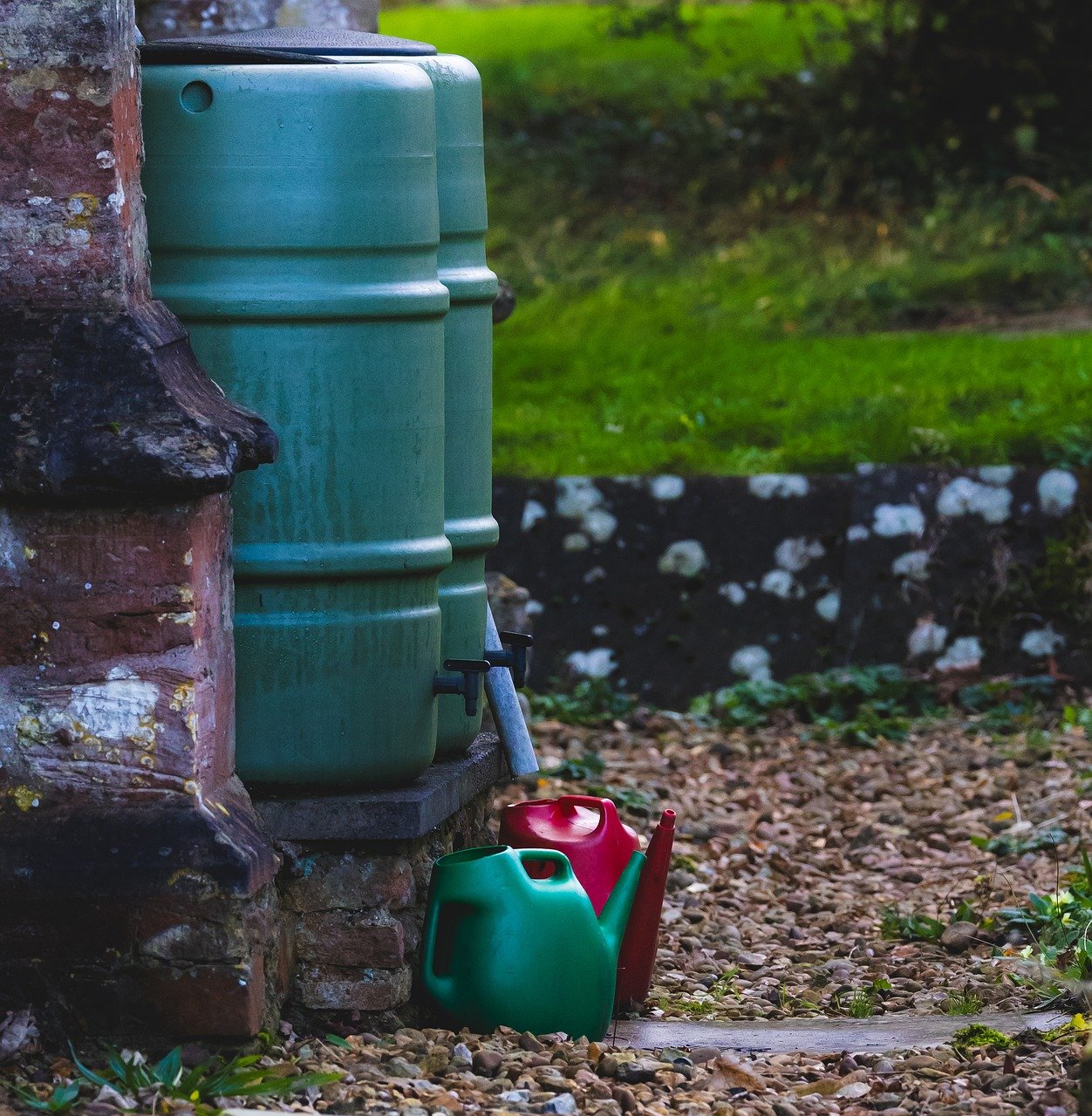 water can, water storage, bin, can, red, green, storage, container, water bin, gardening