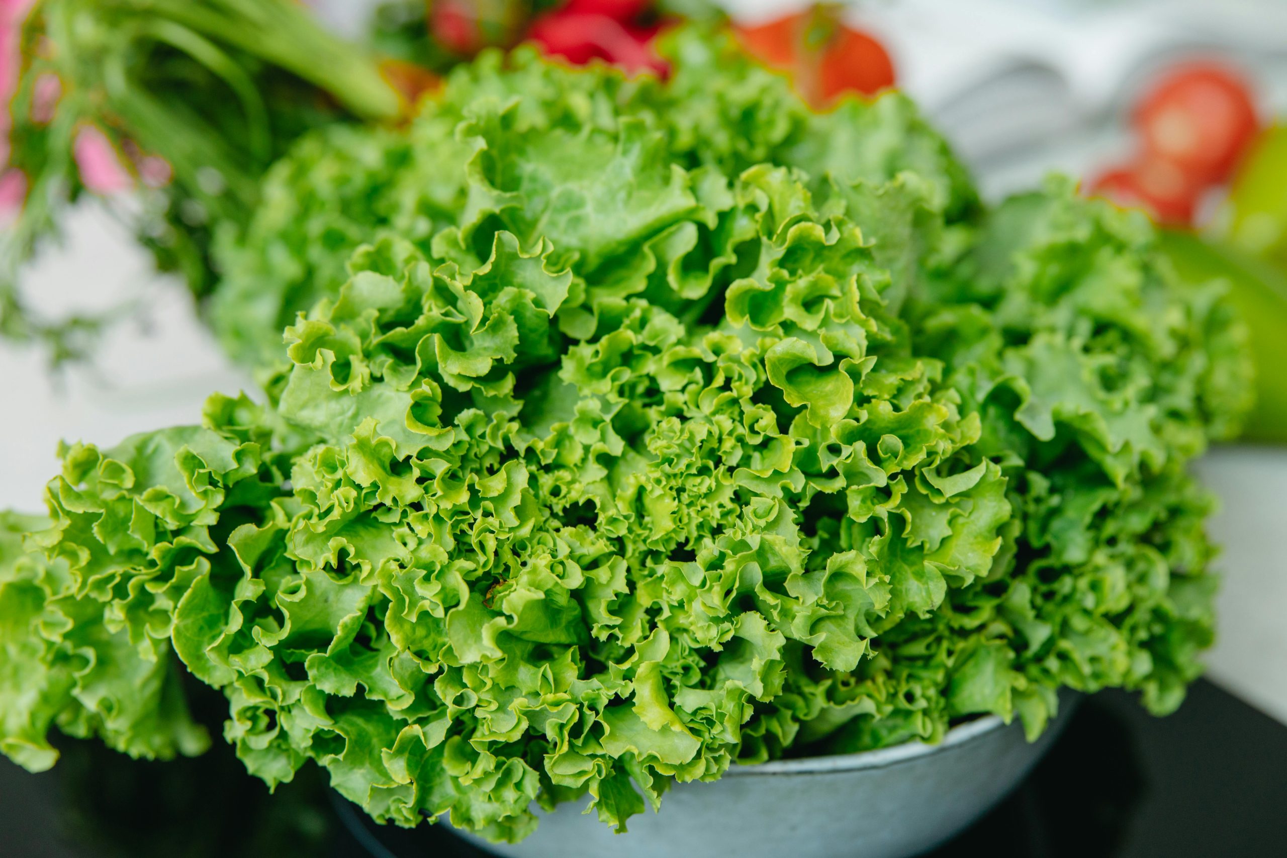 Vibrant green lettuce in a bowl, showcasing freshness and health. Perfect for salads.