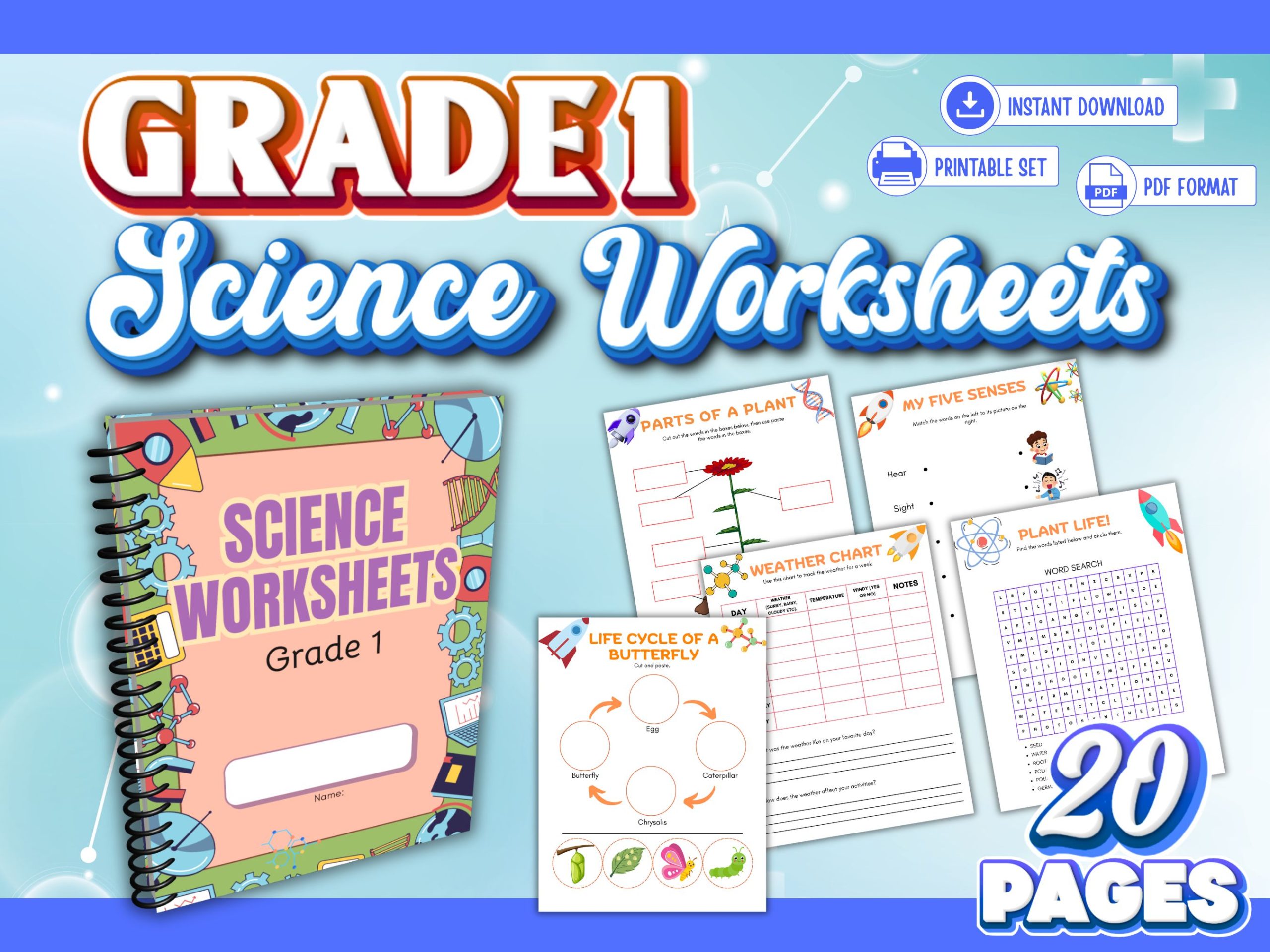 Grade 1 Science Worksheet