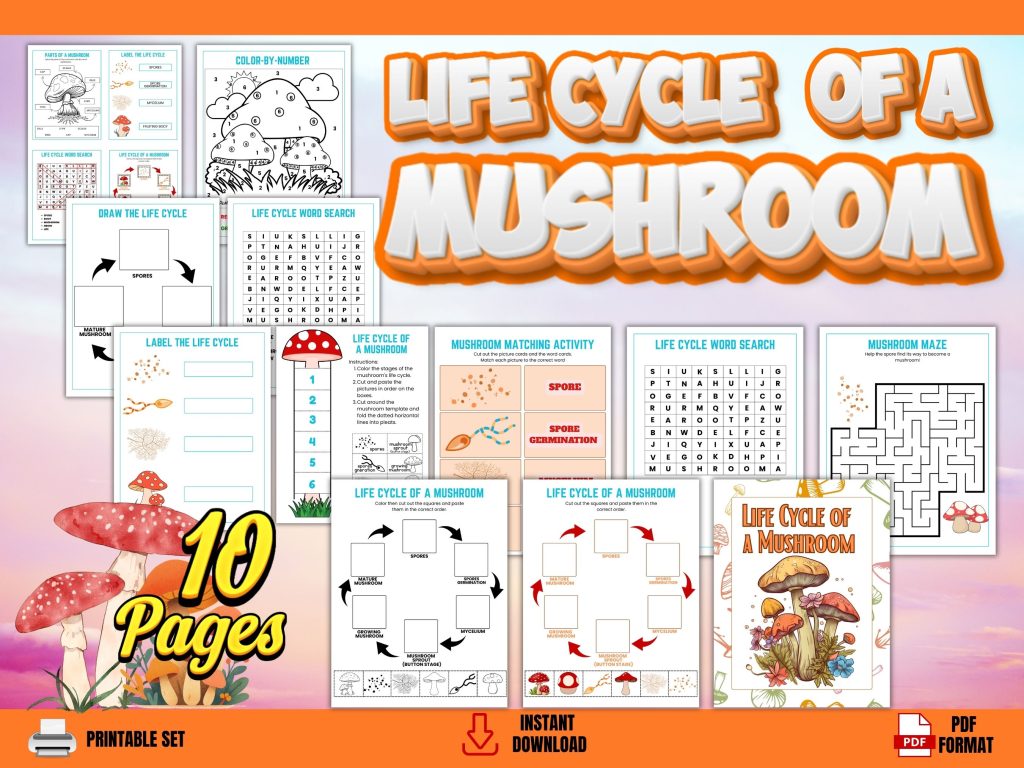 Free Life Cycle Of A Mushroom Printable - Our WabiSabi Life