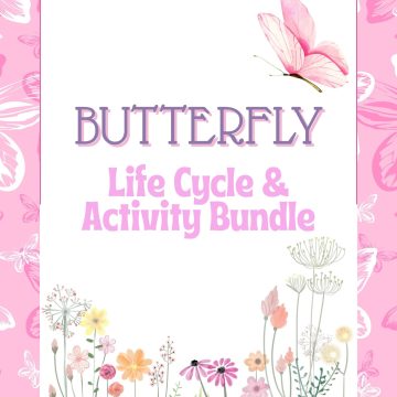 butterfly life cycle