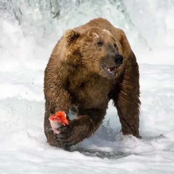 Americans Are Skipping These 8 National Parks – Here's Why