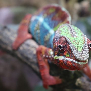 11 Myths People Still Believe - For Some Reason