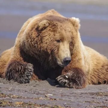 9 Documentaries That Will Ruin You for Regular TV