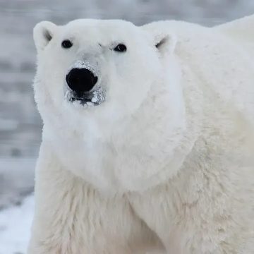 The 10 Fun Facts Most People Think They Know - But Don't