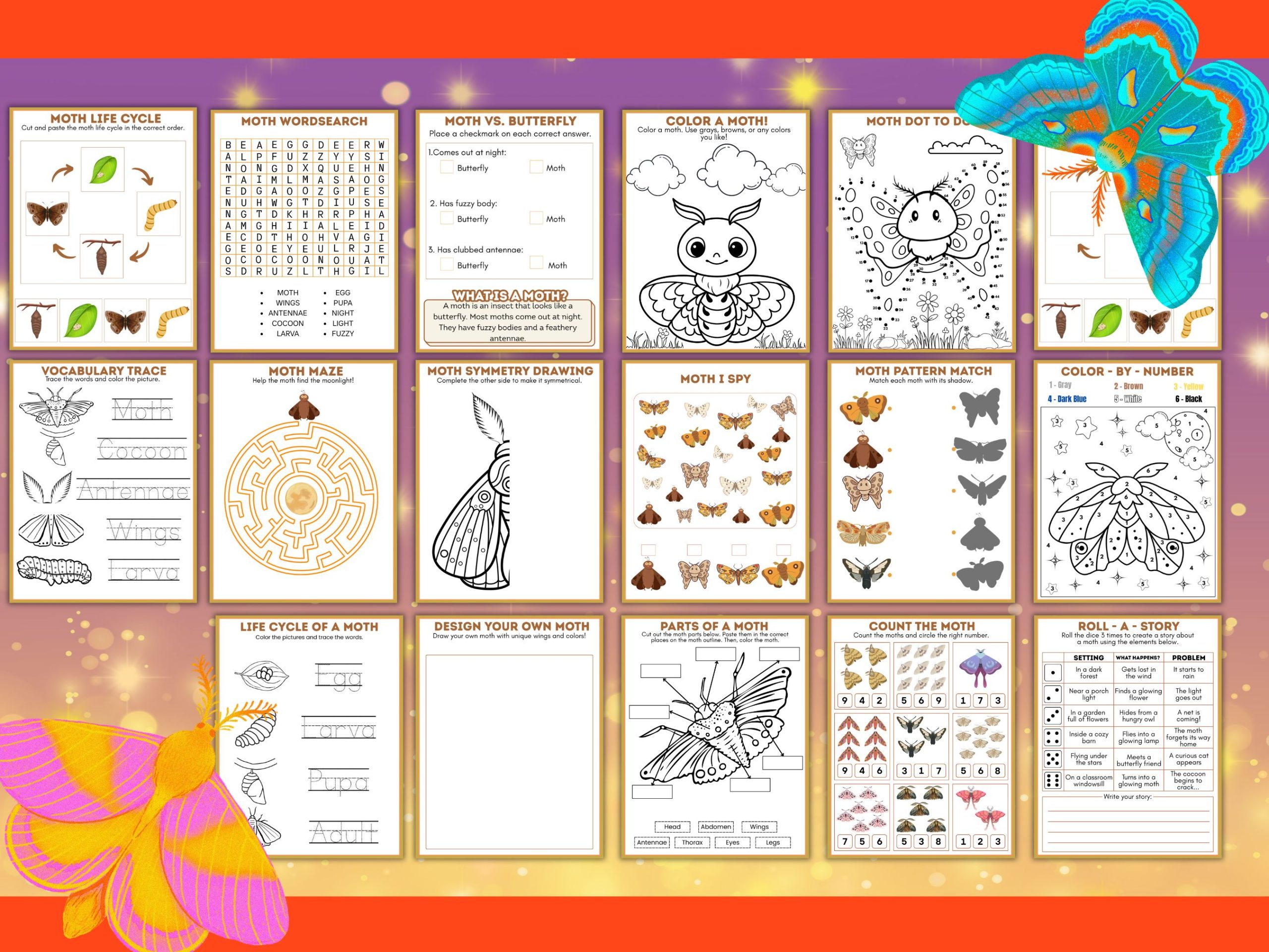 moth life cycle activity