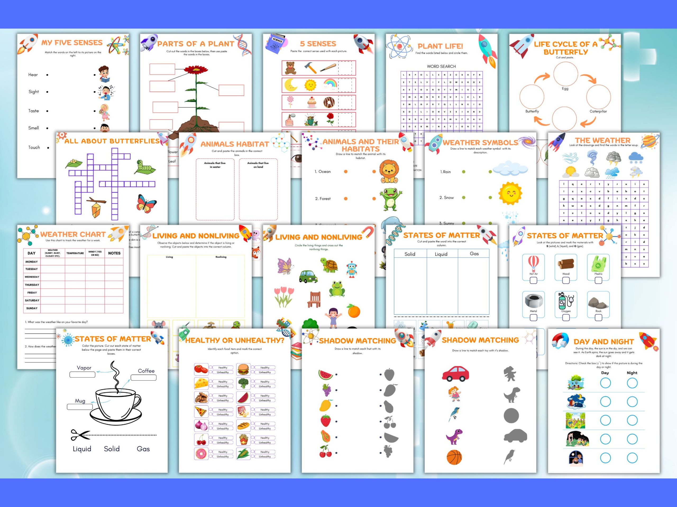 Grade 1 Science Worksheet