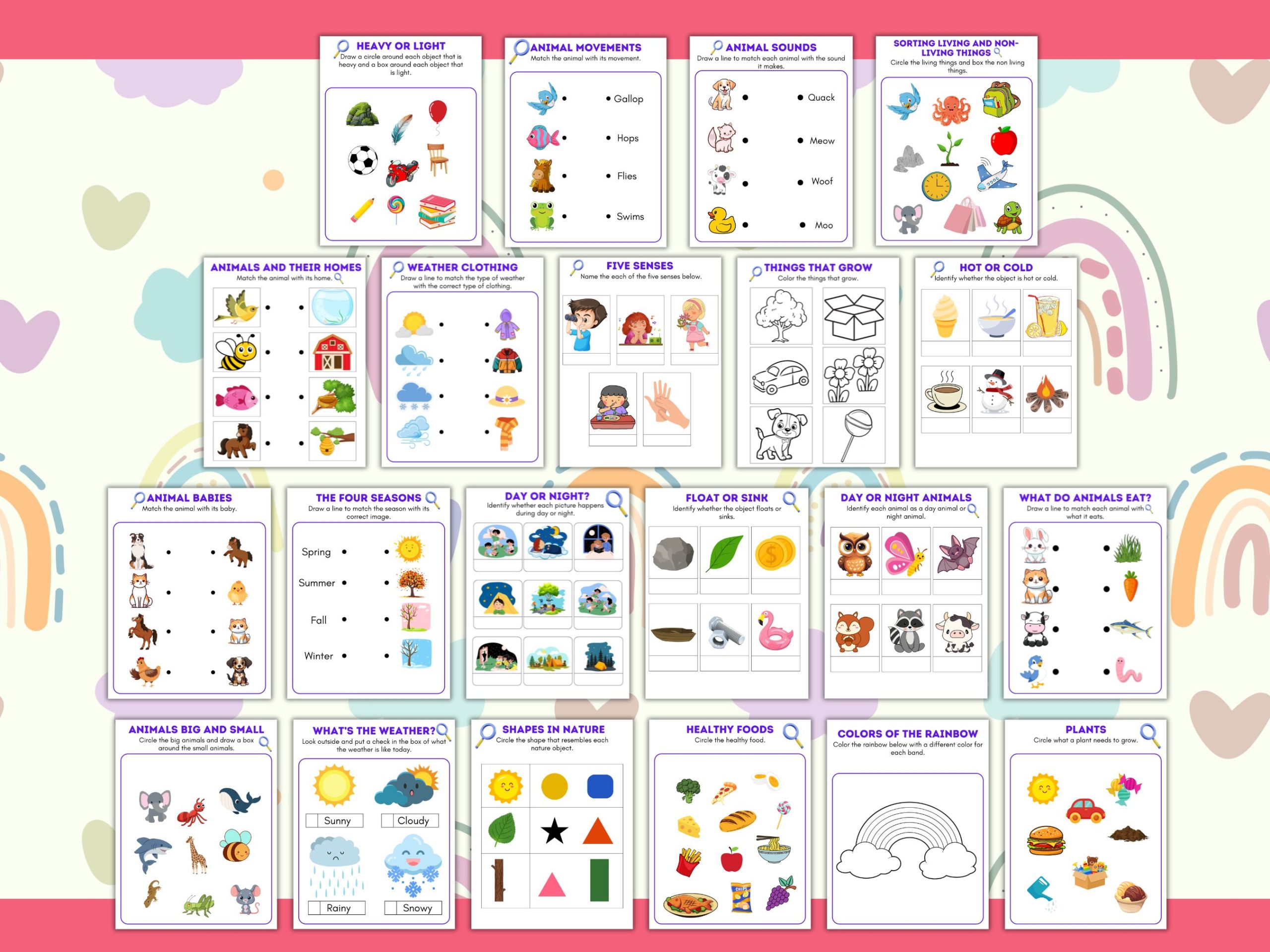 kindergarten science worksheet