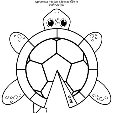 Build a turtle