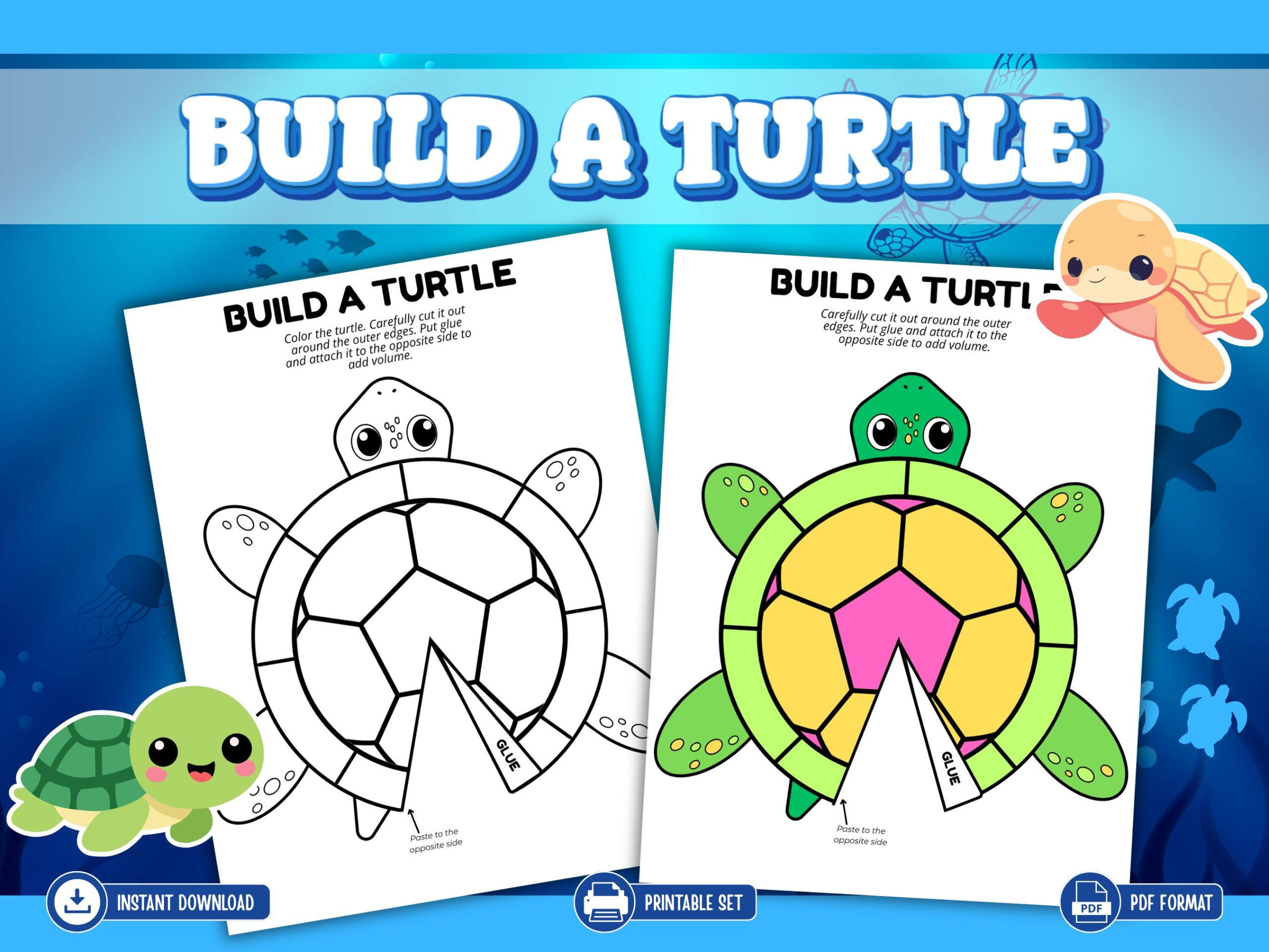 Build a turtle
