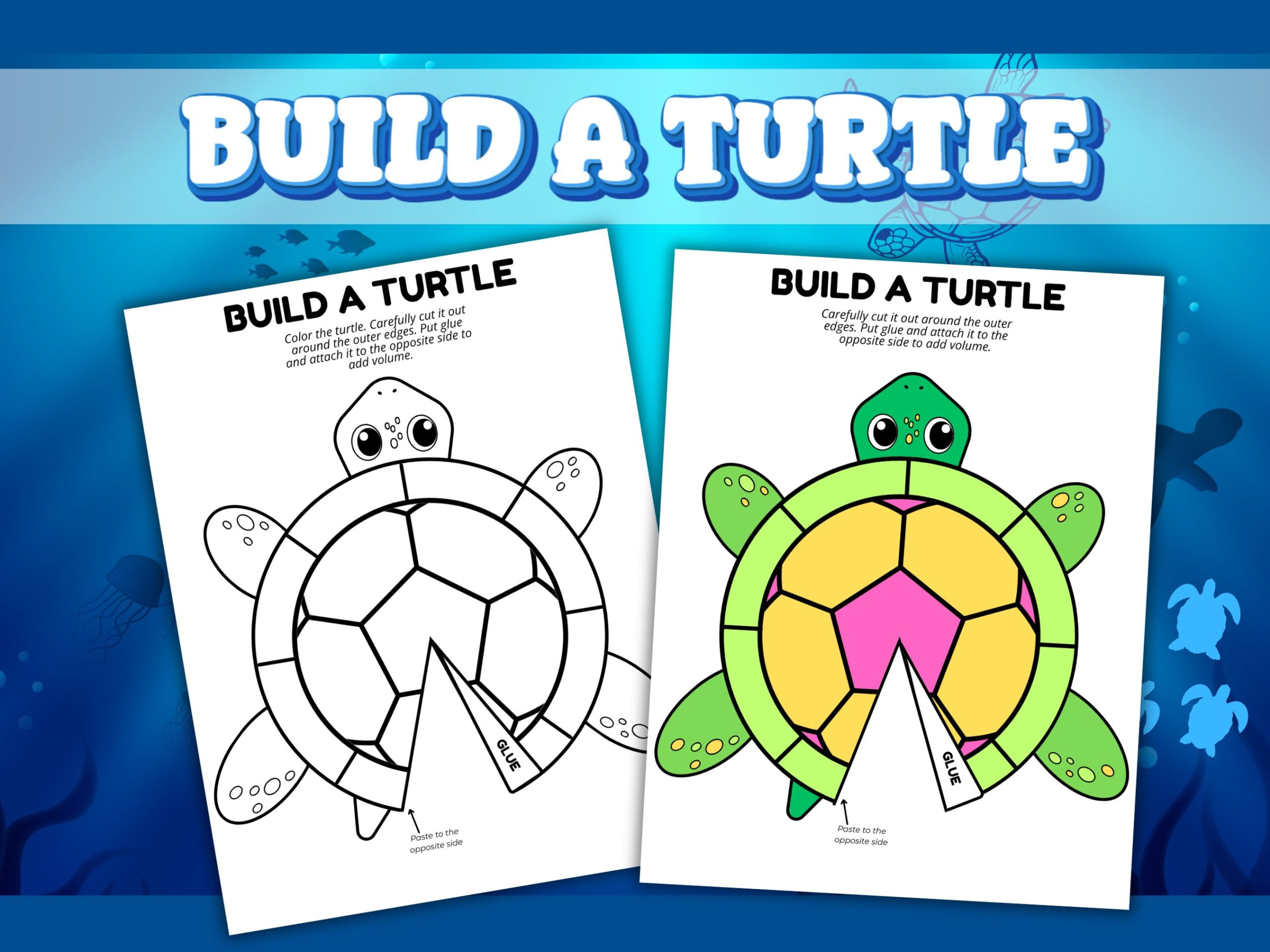 Build a turtle