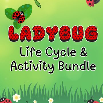 Ladybug Activity Bundle
