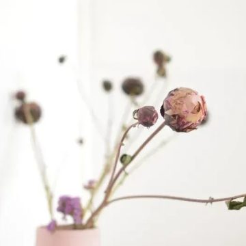 12 Home Décor Items Some Believe Bring Bad Energy Into the House